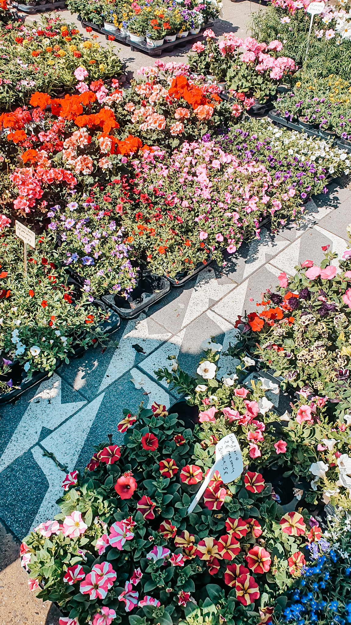 Bloemen-markt-2