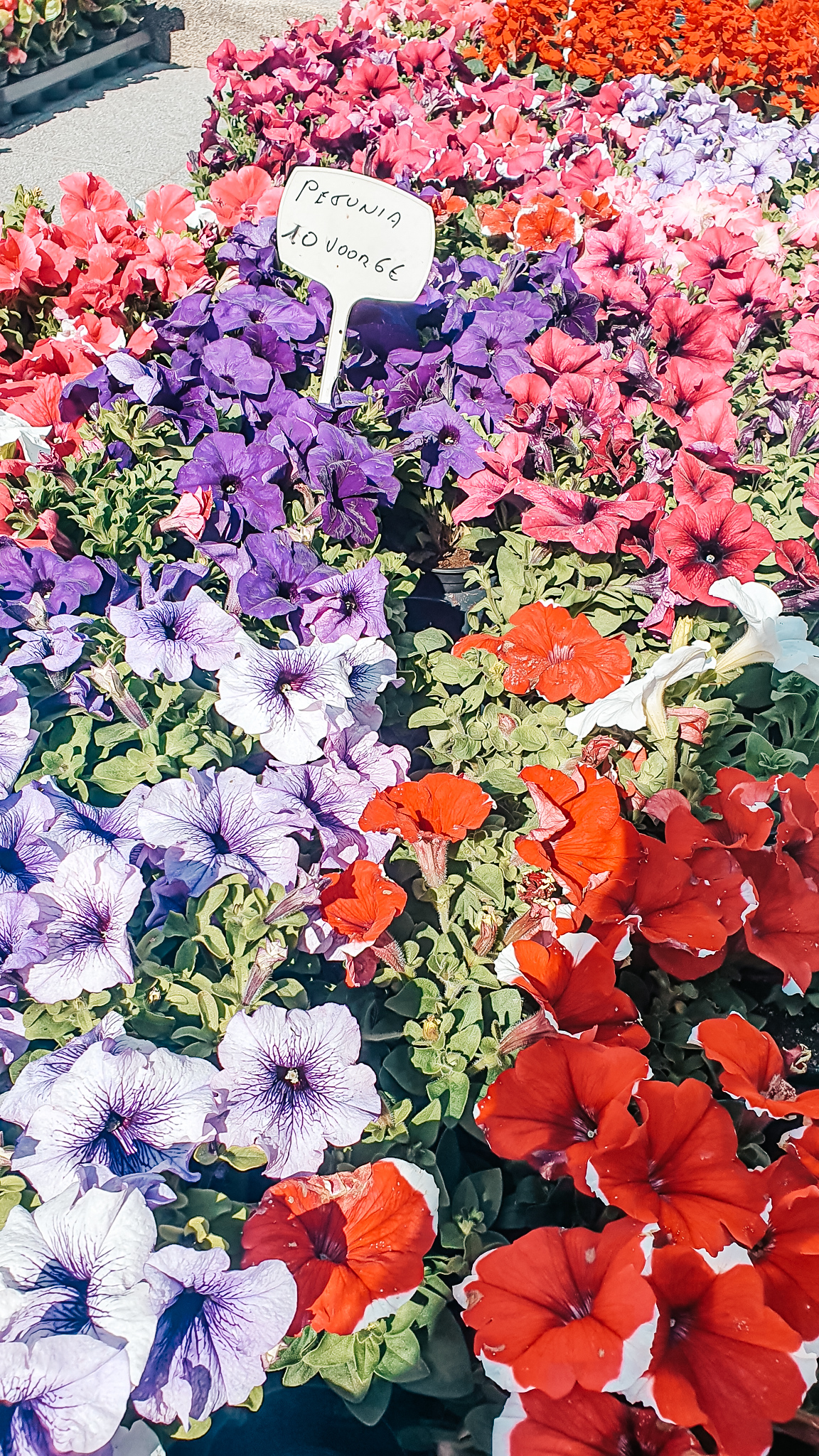 Bloemen-markt