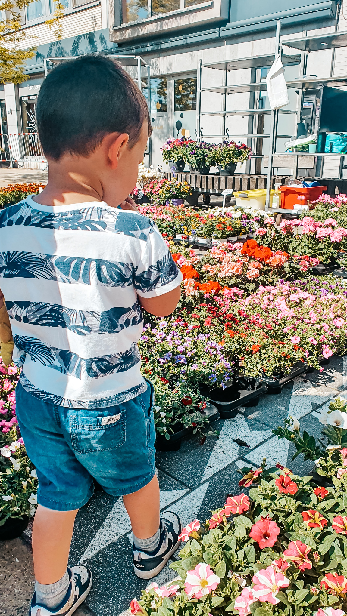 Kind die kijkt naar bloemen op de markt