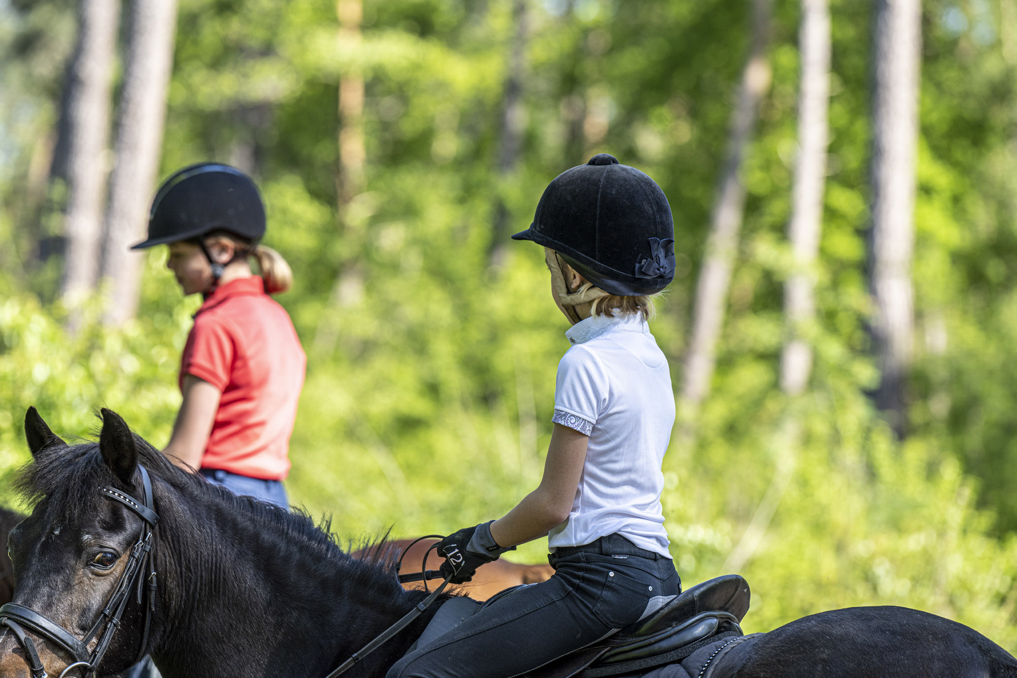 Kinderen ruiterroutenetwerk- 3de foto in het blogartikel