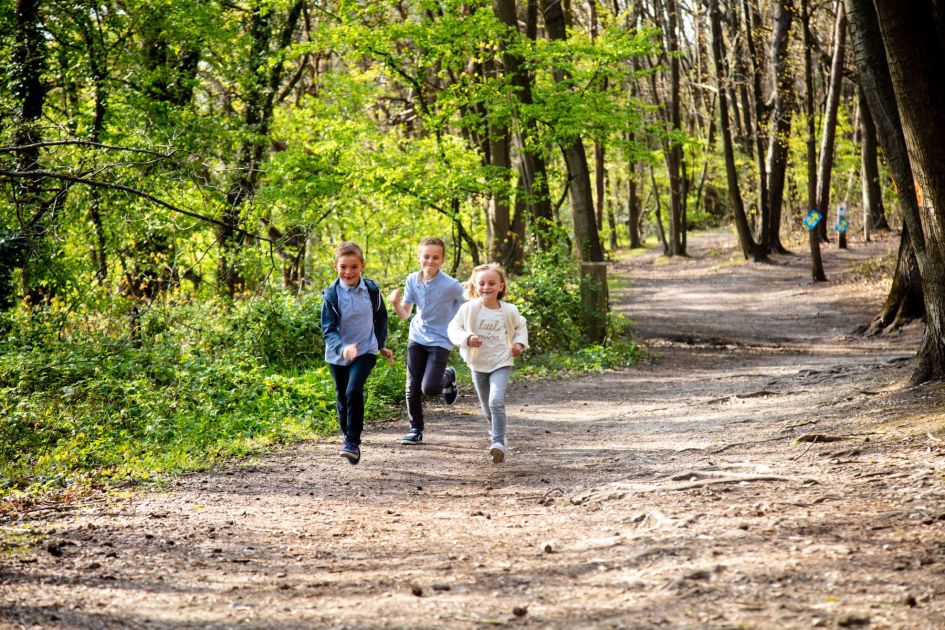 Wandelen Visit Genk